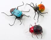 Thinkstockphotos-bugs-ingram-publishing-100645308-large.jpg