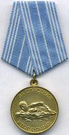 Medal For The Rescue Of The Drowning.jpg