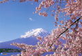 Japan mt fuji.jpg