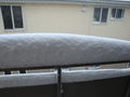 02169SnowThick.JPG