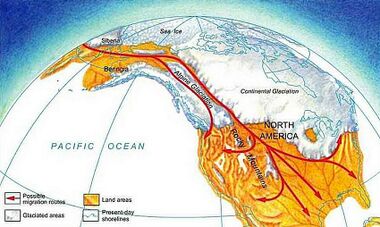 Populationnatameramerica001-1.jpg