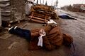 2022-04-03T162033Z 797751206 RC2OFT9ZK87Q RTRMADP 3 UKRAINE-CRISIS-BUCHAmedium.jpg