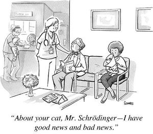 SchroedingerCatNews.jpg