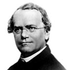 Gregor Mendel.png