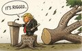 Thumbnail for version as of 22:32, 5 May 2025